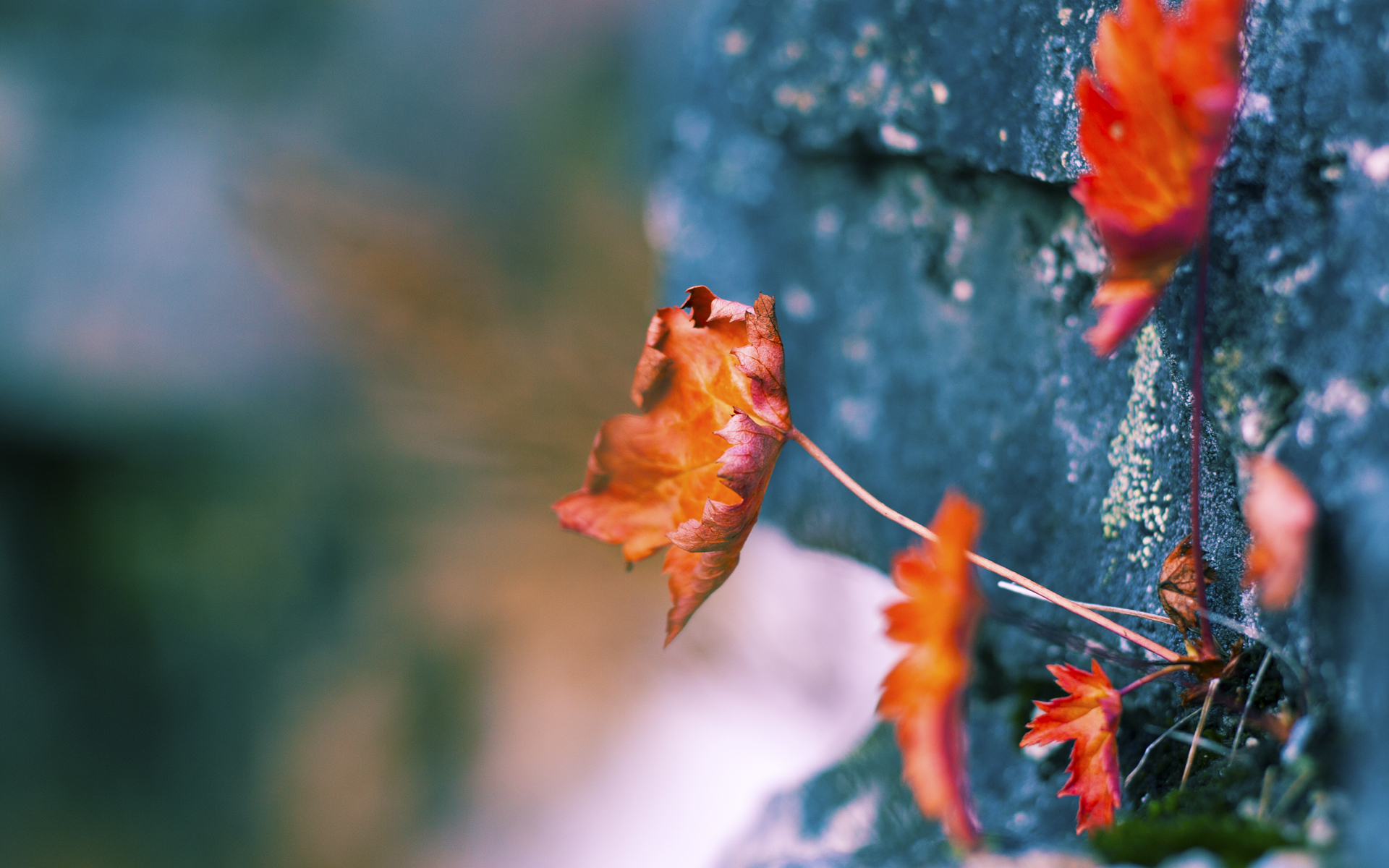 钢铁防线与致命尖刀，乌克兰全面压制威尔士，卡拉斯科抢七接管比赛