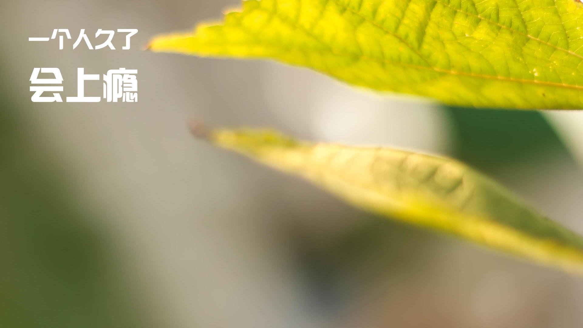 意甲焦点战,突尼斯铁闸闪耀欧战,雷恩攻势遭无情压制