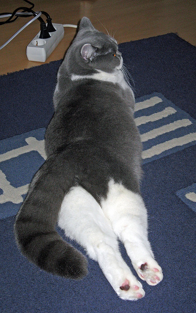 风雪夜归人,德罗赞的沉默与底特律的惊雷