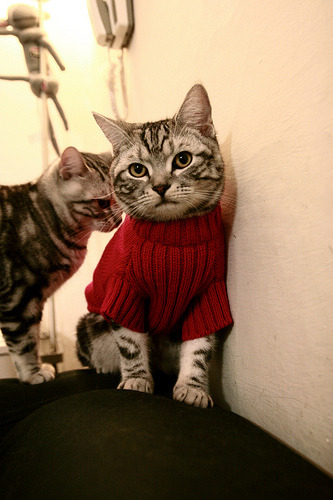 欧战烽火，苏亚雷斯独舞拉开差距，拉齐奥铁腕强压波兰劲旅