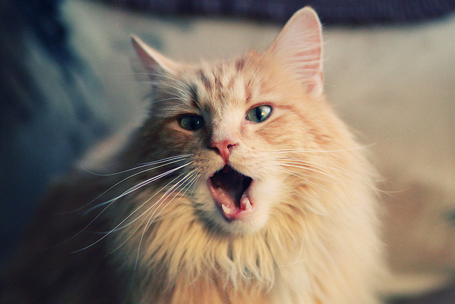 牙买加复仇者联盟2-1掀翻莱比锡,富安健洋攻防一体导演逆转好戏