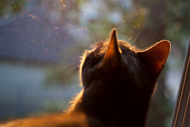 开云体育app-奥运关键夜铁卫擎天，斯通斯于无声处听惊雷