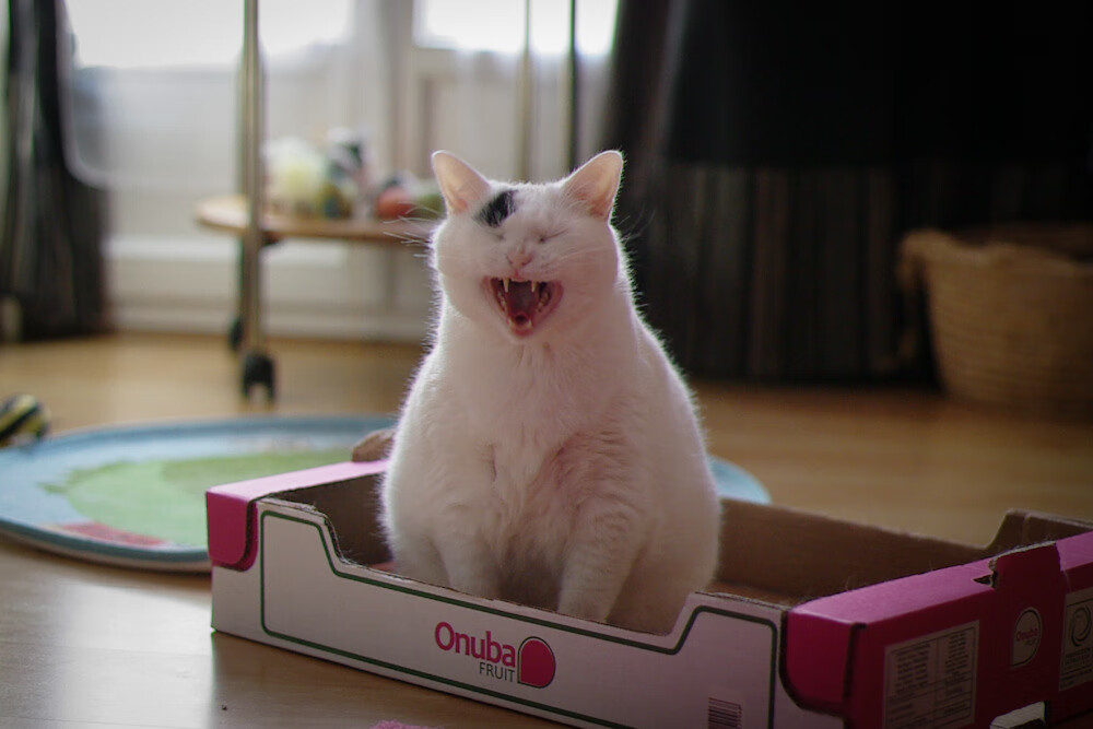 惊涛骇浪中的定海神针，詹姆斯关键先生本色助篮网险胜快船