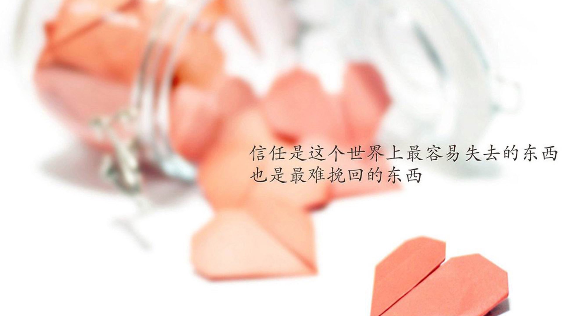 开云体育官网-街道硝烟与地缘闪电，当赛道弧光映照洪都拉斯速胜委内瑞拉