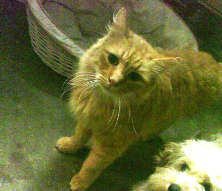 开云体育app-北欧冰火对决，梅西诠释唯一真核—2026世界杯G组焦点战，瑞典险胜冰岛，胜负在瞬息之间